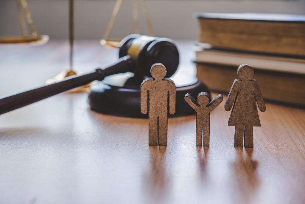 family law lawyer, expert legal support
